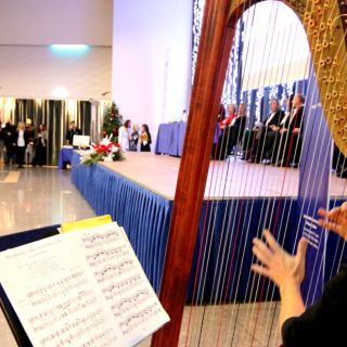 ordine-avvocati-toghe-oro-01 (48)